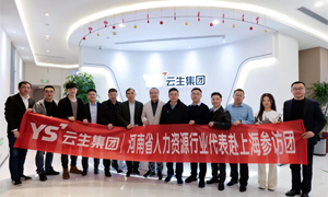 拓思路，促发展！河南省人力资源行业代表赴上海参访团莅临龙8头号玩家集团交流访问